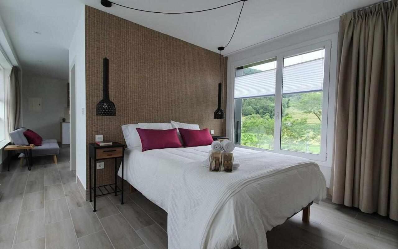 Bergartxe Geltokia Apartment